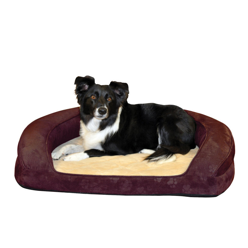 Lit-lit pour chien deluxe ortho, Grand (l 40 po x P 40 po x H 8 po), Aubergine