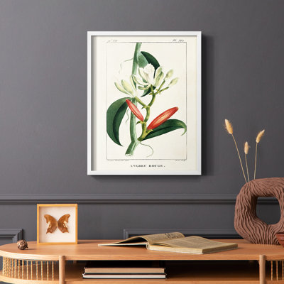 Turpin Tropical Botanicals, reproduction d'art encadrée - bois massif