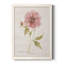 Soft Peony - peinture sur toile encadrée-61358260-61358262