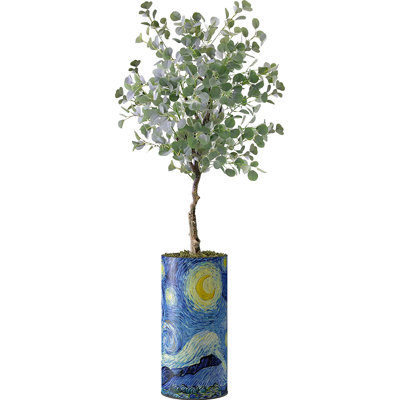 Faux Eucalyptus Plant in Plastic Planter