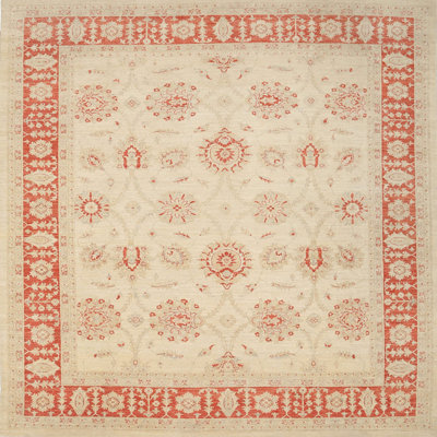Oriental Indoor Rug