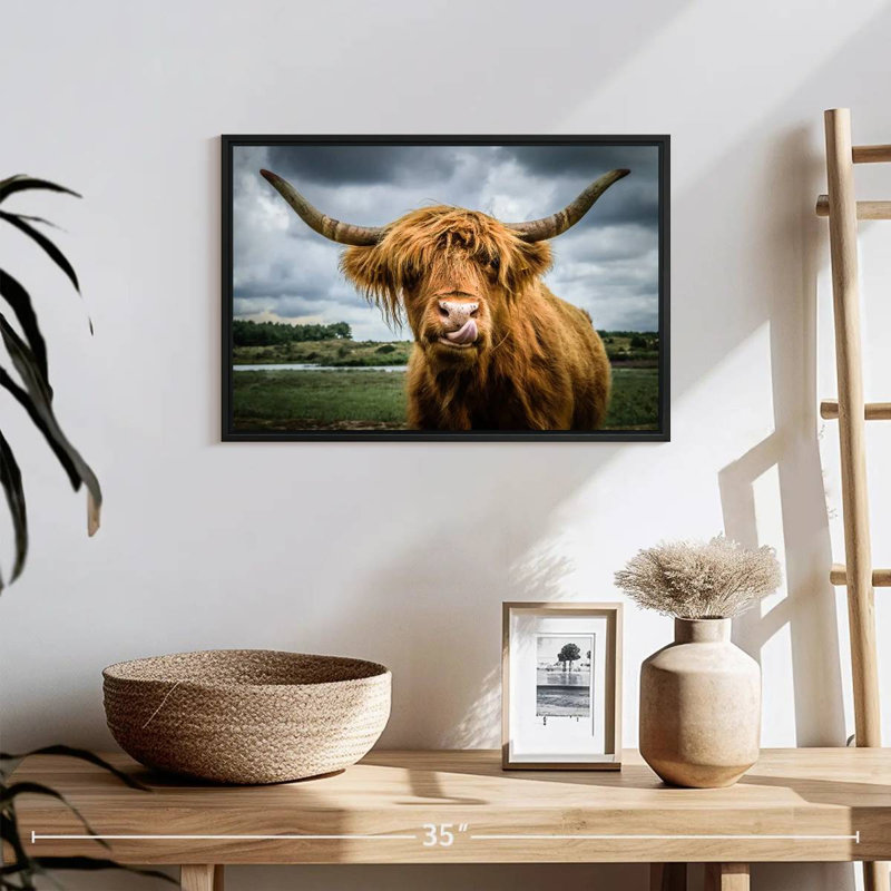 Brampt Silly Highland Cow, H 13 po x l 19 po