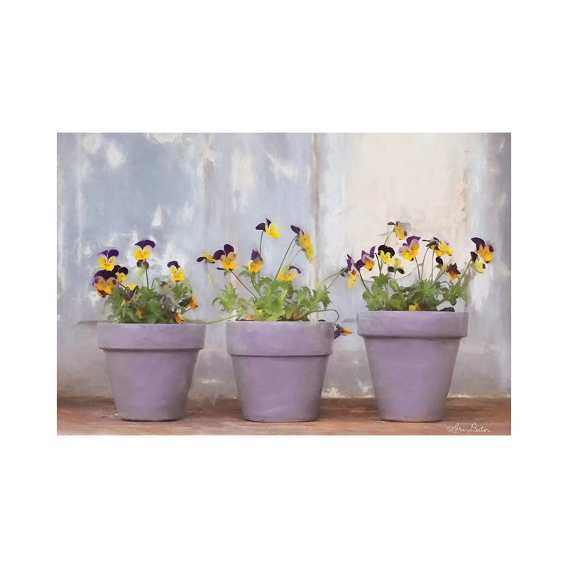 Pansy Still Life I by Lori Deiter - Wrapped Canvas Print, 20.32 cm H x 30.48 cm W
