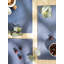 Serviette 13 po Jakevious-228561765