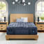 Perfect Sleeper Pro Valais Plush Pillow Top 15" Latex Hybrid Mattress-1902856855