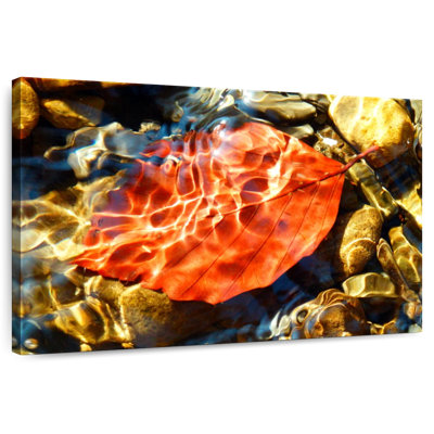 Harnek Underwater Beauty