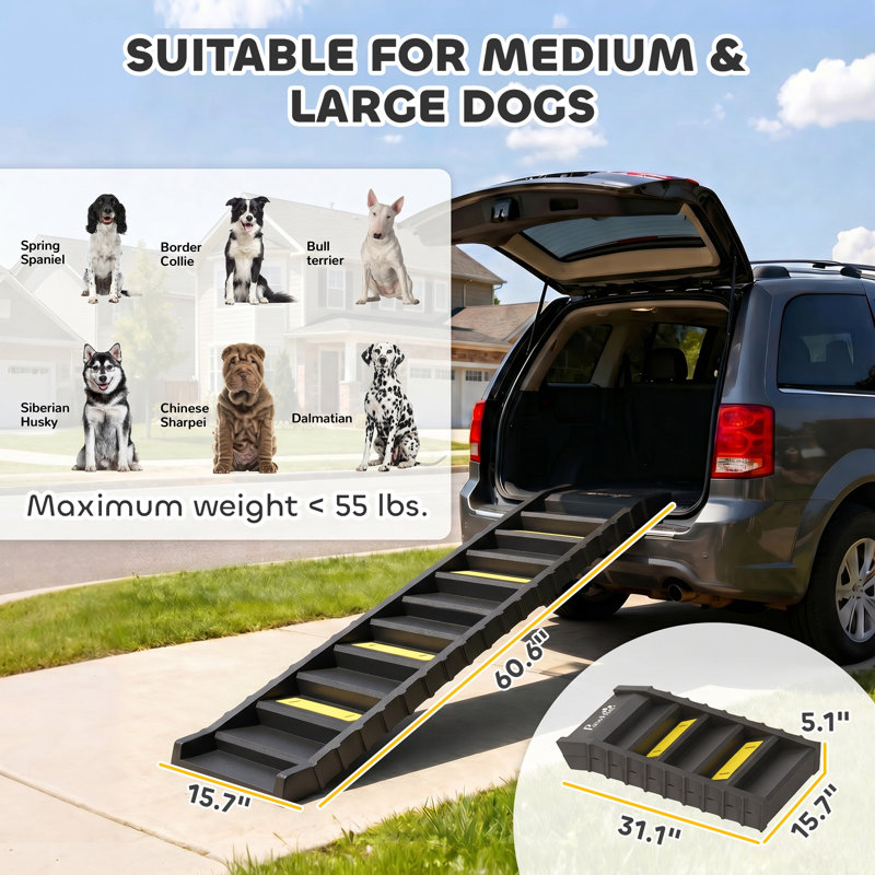 Escalier pour chien pour camion utilitaire sport, rampe pliable pour chien de taille moyenne à grande, noir, Noir
