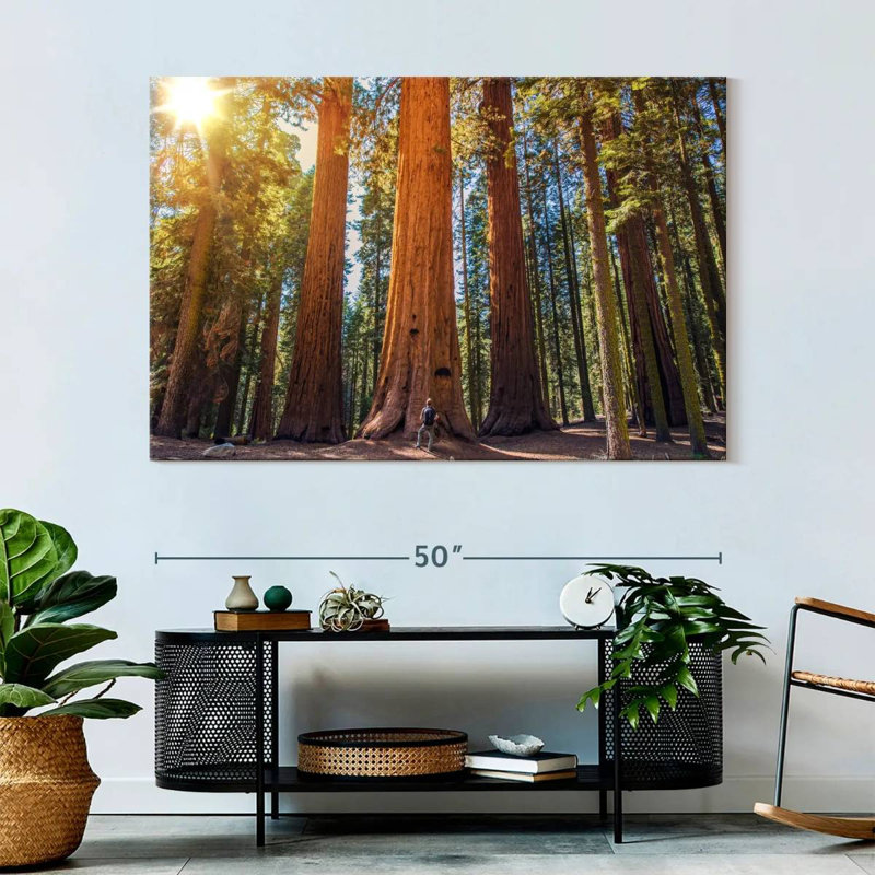 Harnek Giant Sequoia Trees, 34" H x 51" W
