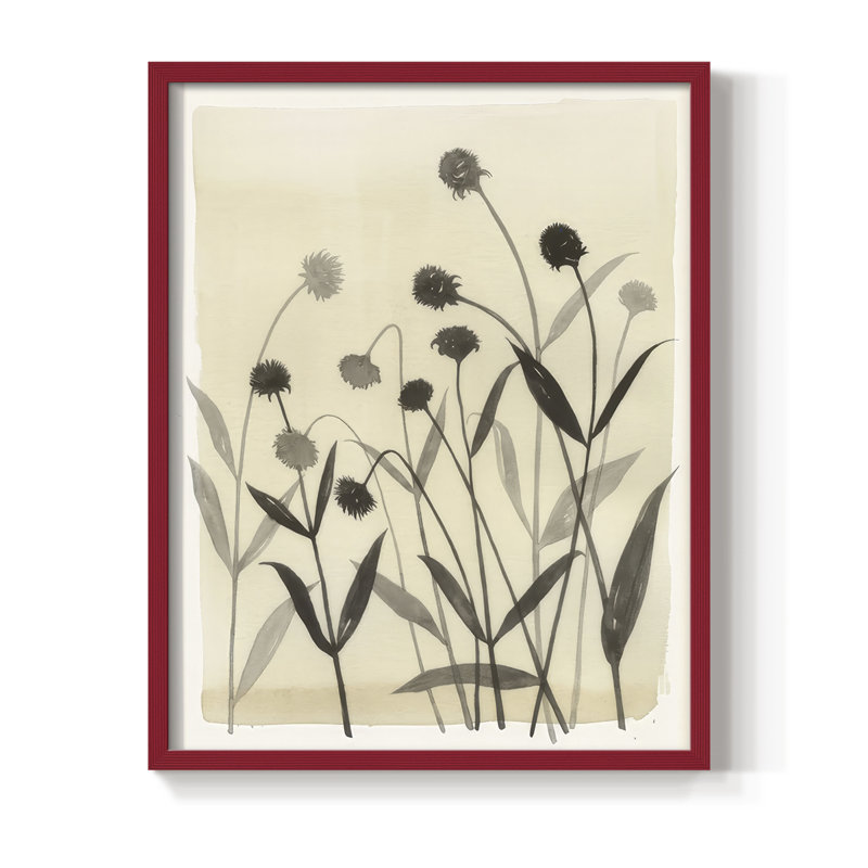 Summer Echinachea II, reproduction encadrée - bois massif, H 30 po x l 24 po, Rouge