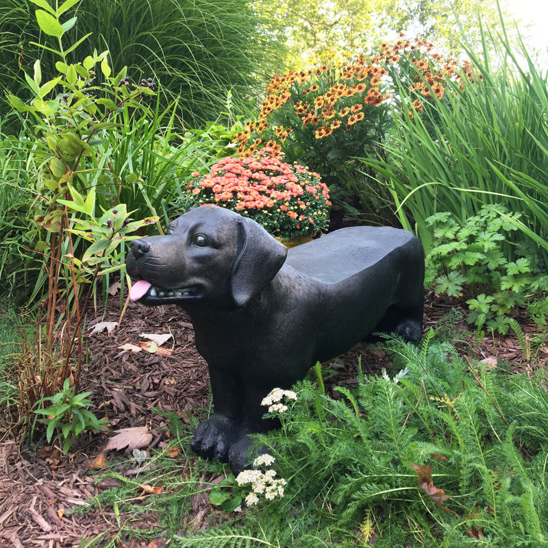 Banc 32 po Labrador, Noir