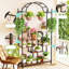Adalet Plant Stand