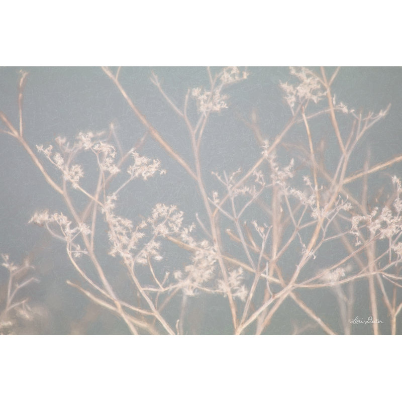 «Dormant Beauty» par Lori Deiter - reproduction imprimée, Non, H 32 po x l 48 po, Reproduction avec cadre noyer