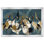 Reproduction d'art mural «Crane Love», animaux