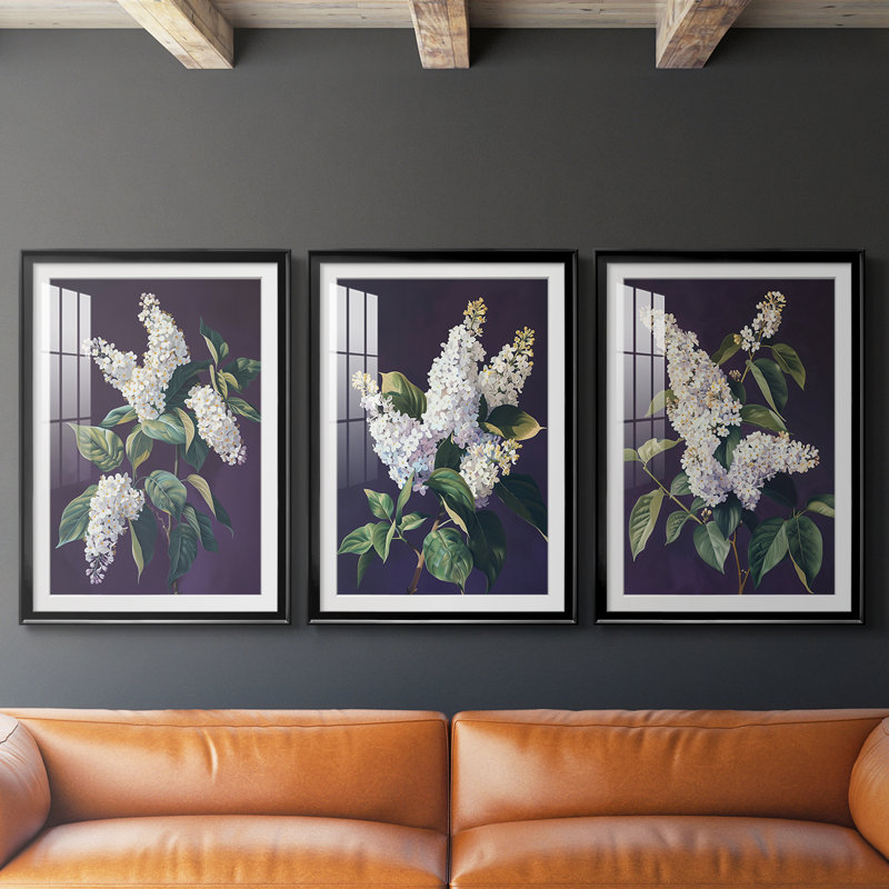 FLORAL Series CCXLIV - Impression encadrée de qualité supérieure sur mesure mat - 3 pièces, H 15 po x l 19 po, Noir