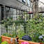 Ensemble de 2 treillis de jardin en métal Charlyn-243819481-253331930