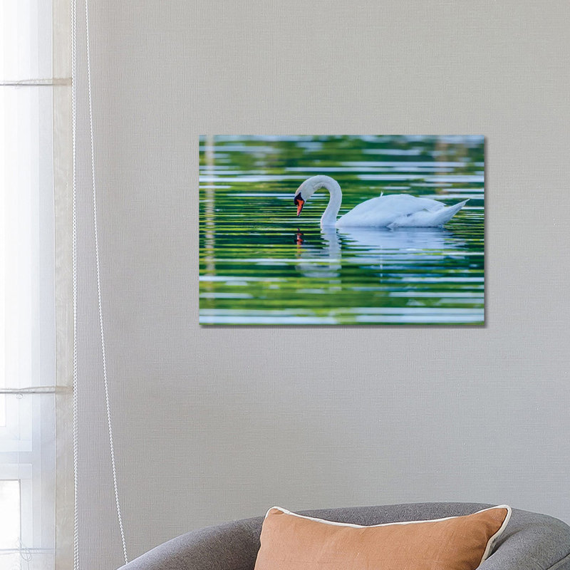 Morning Reflection by David Gardiner - Wrapped Canvas Print, 45.72cm H x 66.04cm W