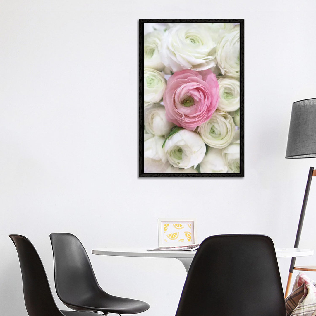 Vintage Ranunkel in Weiß und Rosa von Blursbyai - Galerie-umwickelte Leinwand Giclée auf Leinwand