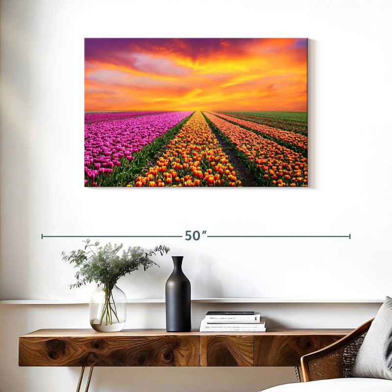 Rangées de tulipes vibrantes, H 24 po x l 36 po