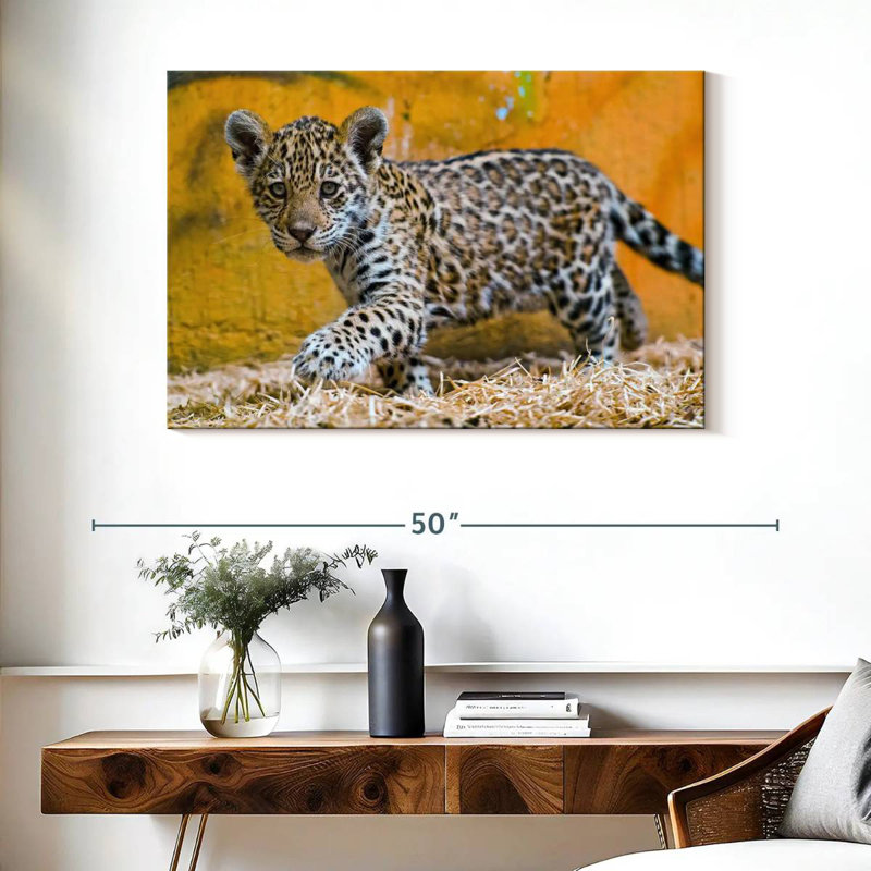 Brampt Jaguar Cub, 26" H x 39" W