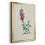 Toile encadrée de qualité supérieure Traditional Botanical I - prête à être accrochée-69982459-69982464