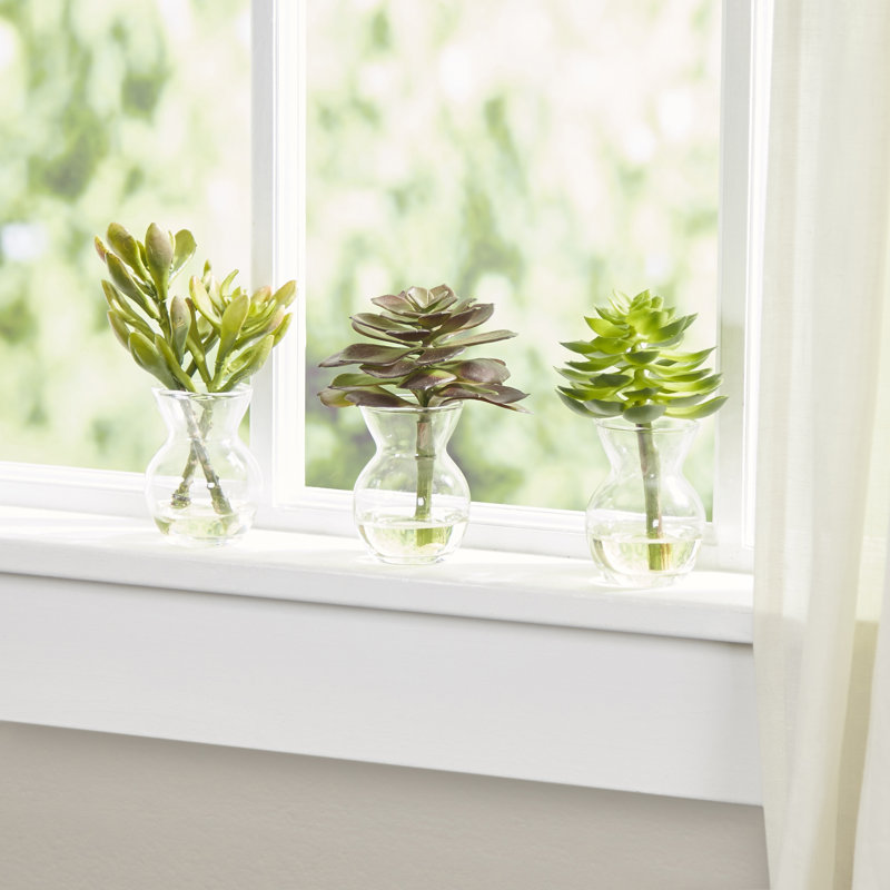Succulent Arrangements Silk Plant Set
