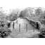 Pont Cetral Park, New York-1041059822
