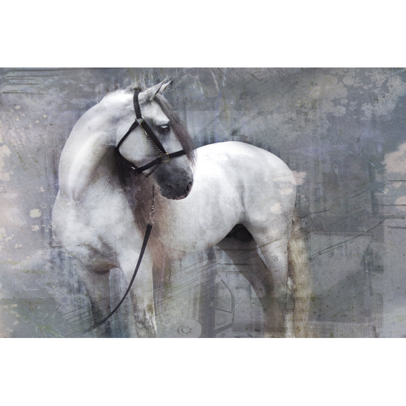 Horse Exposures II by Susan Friedman - Wrapped Canvas Painting, 51cm H x 76cm W