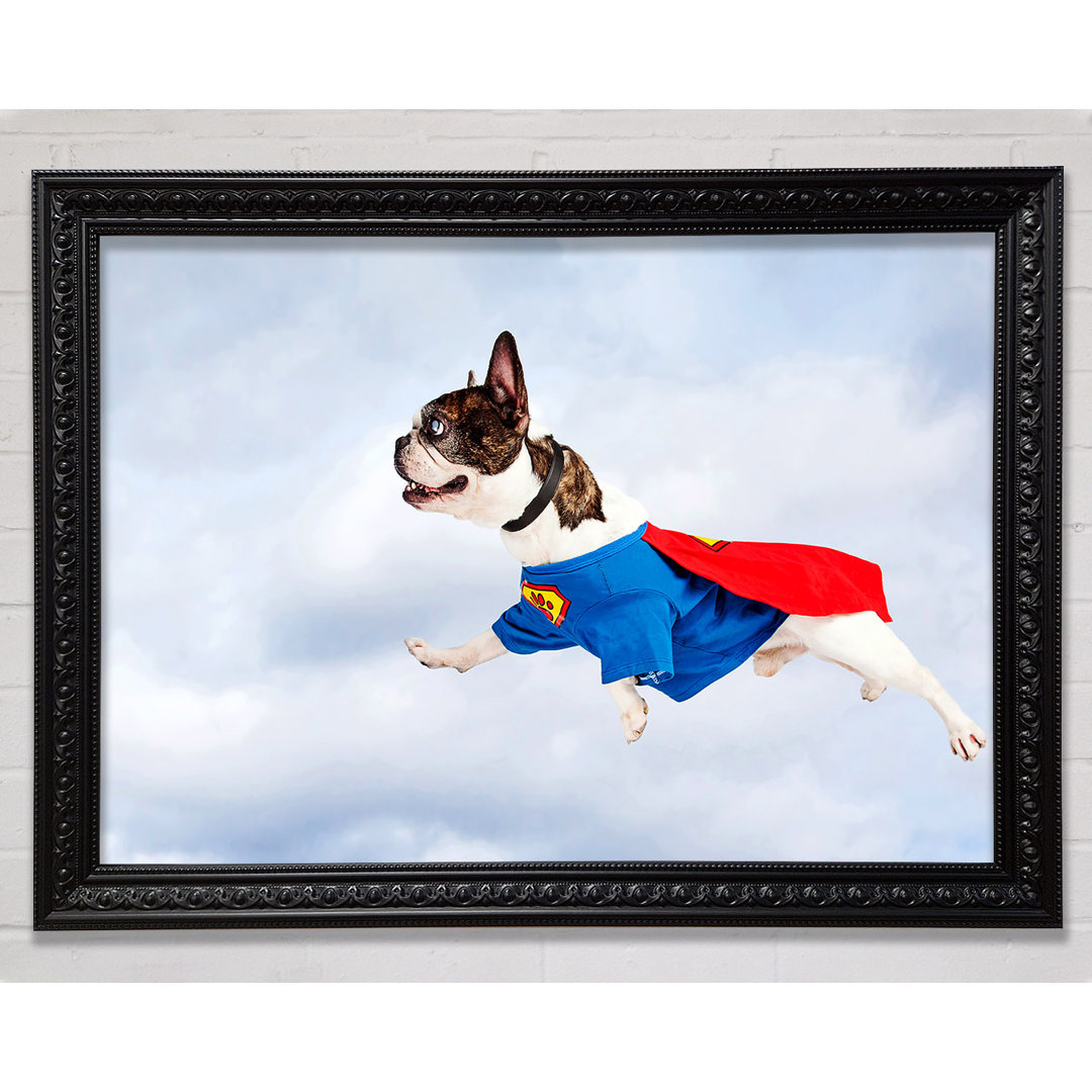 Super Dog Skies - Druck