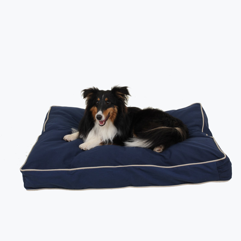 Cotton Pillow, Small (36" W x 27" D x 4" H), Blue/Khaki