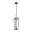 Delphine 1 - Light Pendant-63491975