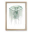 Green Jellyfish by George Shaw - Framed Print-55620917-55620919