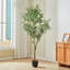 210cm Faux Bonsai Plant in Fabric；Plastic Freestanding