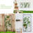 Asaf 24.1'' H x 24.1'' W Metal Lattice Panel Trellis