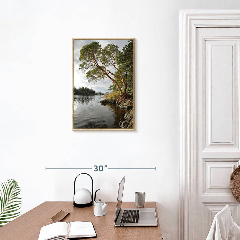 Arbousier au bord de l'eau, Cadre flottant en bois naturel, 17" x 25"