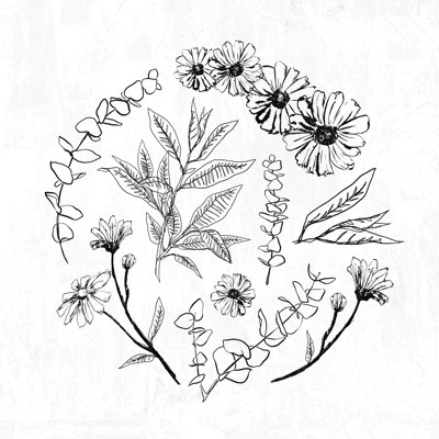 " Hand Drawn Flowers And Leaves "