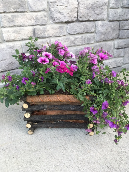 Boîte à fleurs à tistis/à fleurs Lola