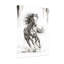 Animaux, galop, impression dynamique-982543488