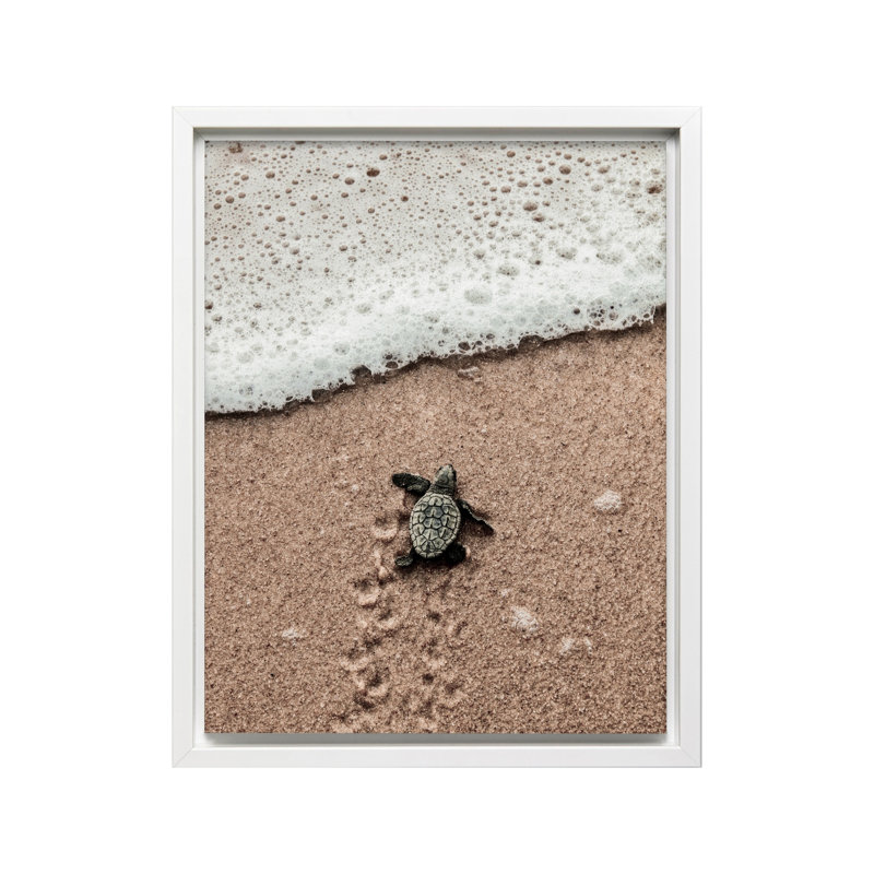 Tortue de mer rampante, H 24 po x l 32 po, Canevas, Encadrement blanc