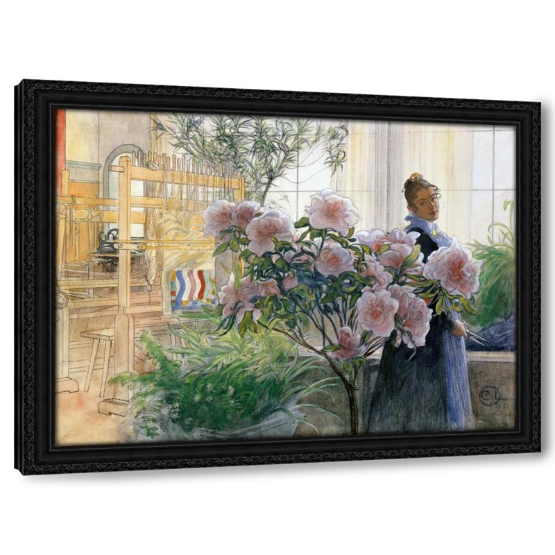 Azalea (1906), 19" H x 24" W