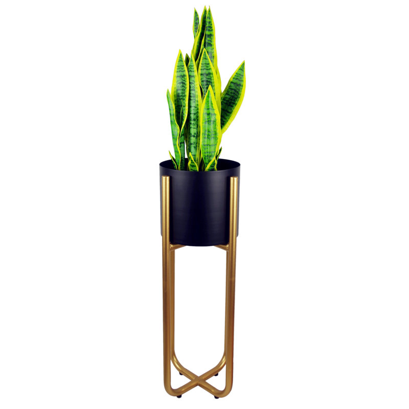 Fernly Handmade Metal Cachepot, Gold/Black