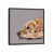 Black Framed Canvas is unavailable