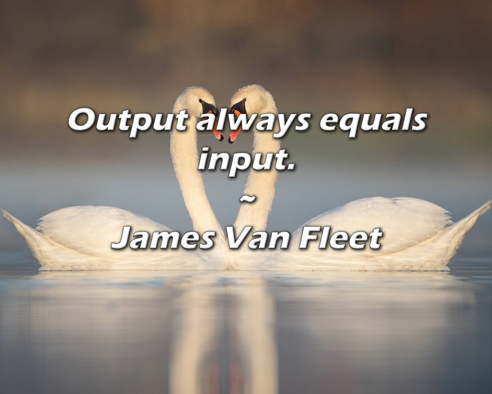 Trinx James Van Fleet Quote: Output always equals input. | Wayfair