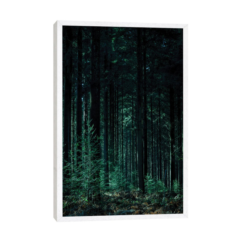 Deep Green - Print on Canvas, 66.04 cm H x 45.72 cm W, White Framed