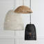 Luminaire suspendu en pot 1 lumière Hasley-1568172017