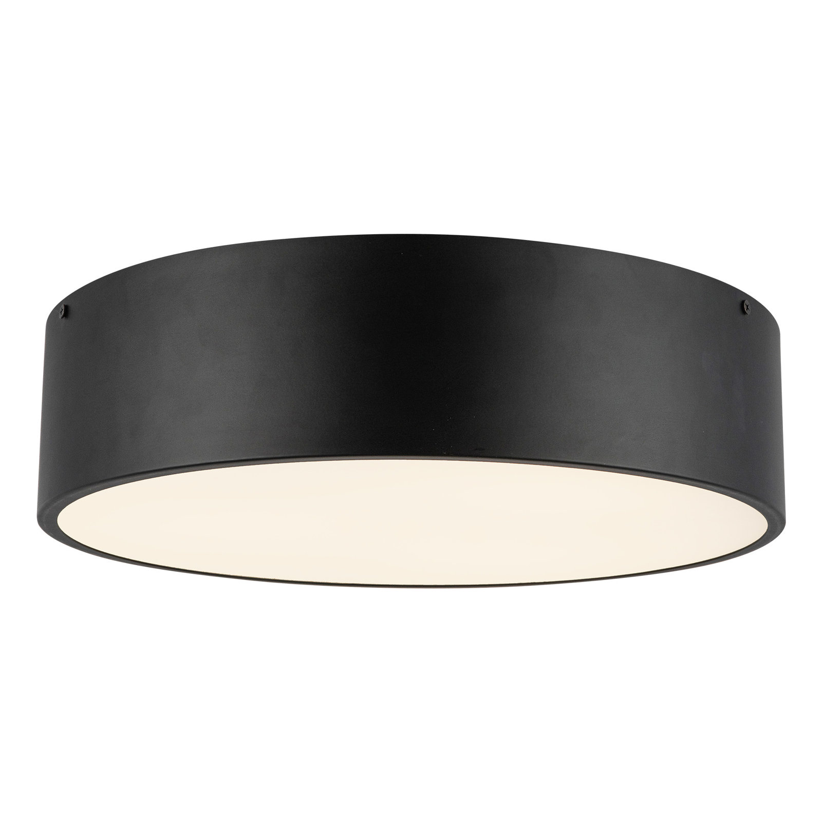 Mossy 3 Light Glass Flush Mount, Matte Black
