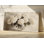 Au-dessus du lit, hortensias blancs, nature morte, décor de maison de campagne printanière, motif floral neutre, décor de chalet