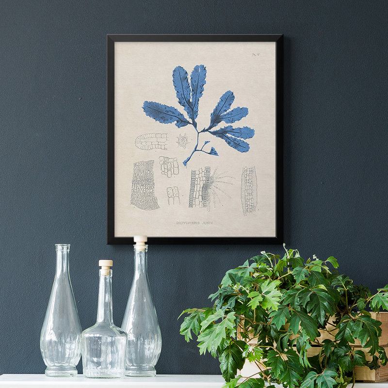 «Blue Marine Algae VII», toile encadrée de qualité supérieure - prête à être accrochée, H 24 po x l 20 po, Noir