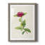 «Pretty Botanicals II», cadre photo-341834848-341834851