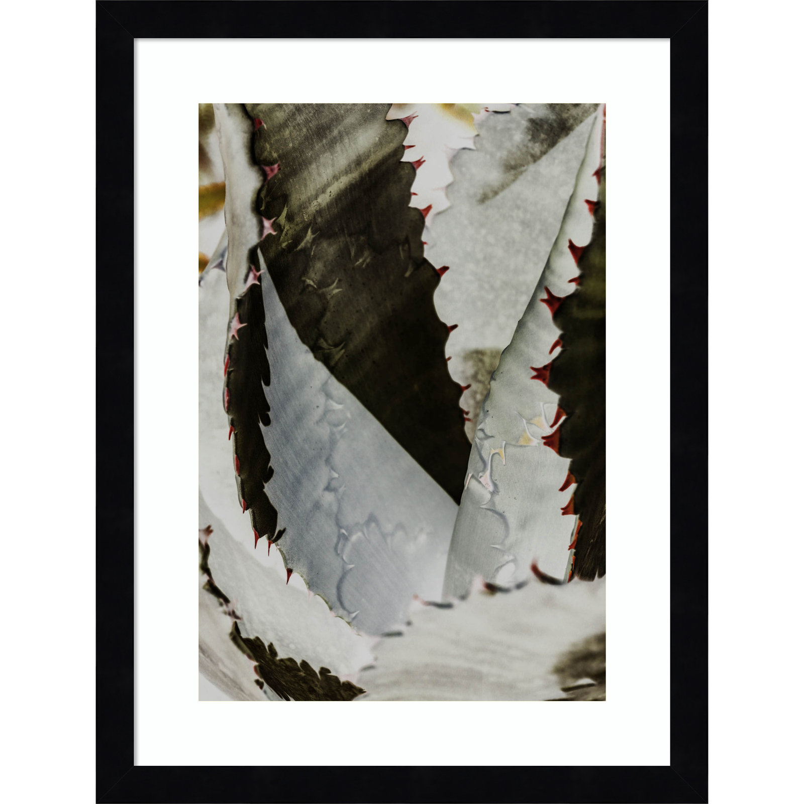 Nova by Shot by Clint Wood Framed Wall Art Print, 17" H x 13" W, Black