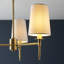 Devi 3 - Light Shaded Chandelier-2100328346